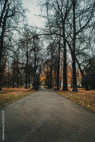 Осень в пустом и мрачном парке