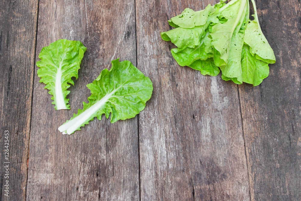 chinese cabbage organic vegetables on a wooden table. chinese cabbage organic vegetables on a wooden table.