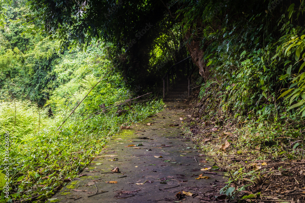 Walkway the beautiful waterfall in forest at Sai Yok National Park - A beautiful waterfall on the River Kwai. Kanchanaburi, Thailand Walkway the beautiful waterfall in forest at Sai Yok National Park - A beautiful waterfall on the River Kwai. Kanchanaburi, Thailand