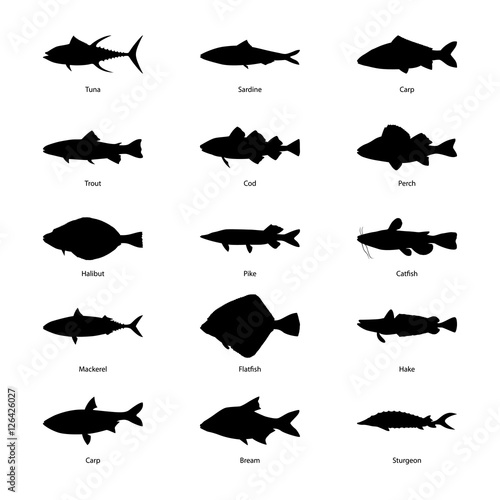 Set of silhouettes of fishes, vector illustration