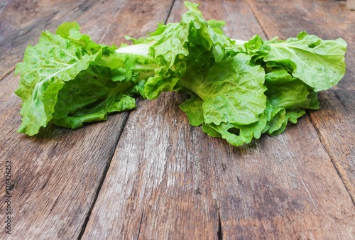 chinese cabbage organic vegetables on a wooden table.