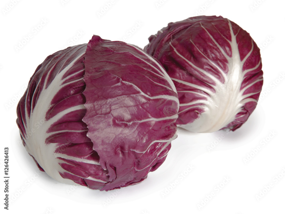 Radicchio Radicchio