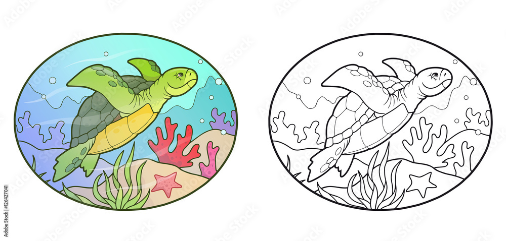 sea turtle
sea turtle
