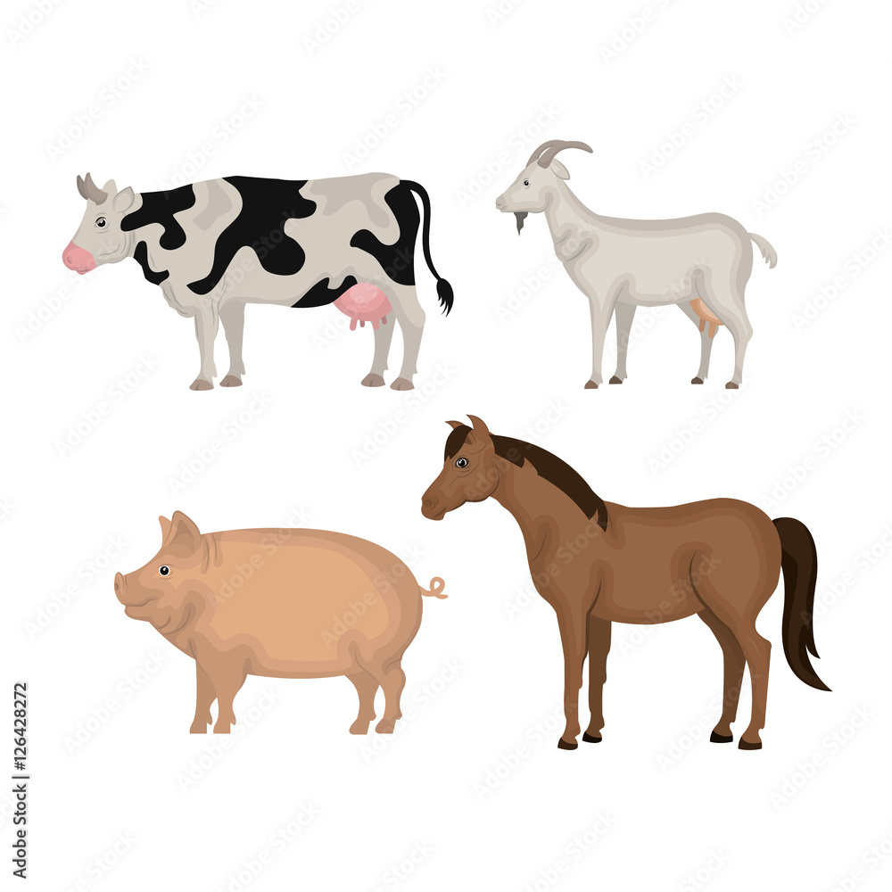 animals farm domestic icon vector illustration design