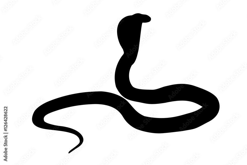 Fototapeta premium Illustration of black backlight King Cobra silhouette isolated on white background, with copy space, behind view.