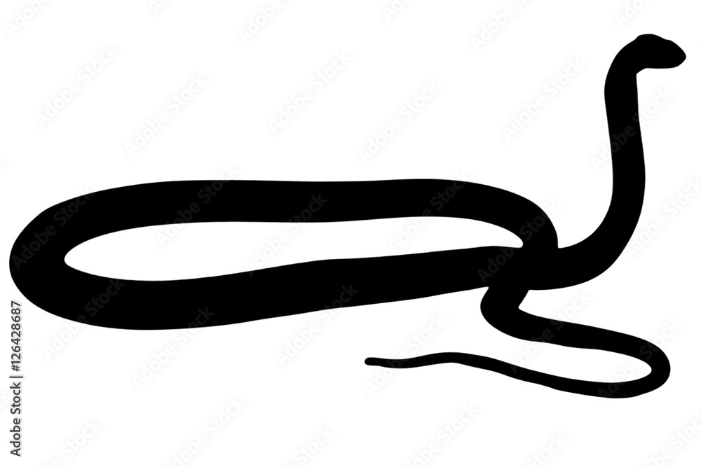 Obraz premium Illustration of black backlight King Cobra silhouette isolated on white background, with copy space, side view