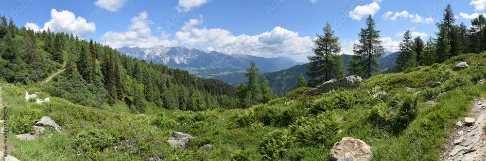 Alpen-Panorama in der Steiermark