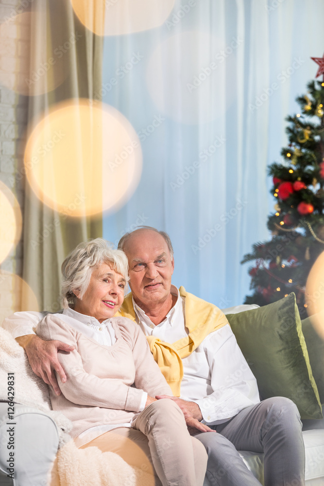 Fototapeta premium Elderly couple near christmas tree