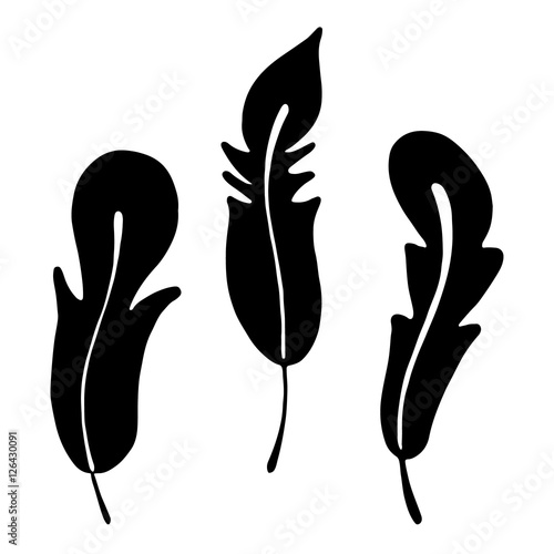 Vector hand drawn illustration, decorative ornamental stylized feather. Black and white graphic illustration isolated on the white background. Hand drawing silhouette.
