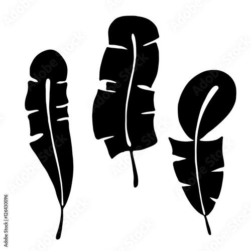 Vector hand drawn illustration, decorative ornamental stylized feather. Black and white graphic illustration isolated on the white background. Hand drawing silhouette.