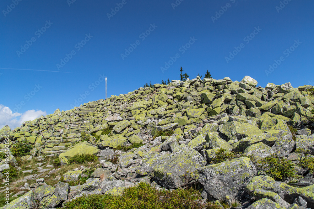 Fototapeta premium Lusen Gipfel; Nationalpark Bayerischer Wald, Sommer