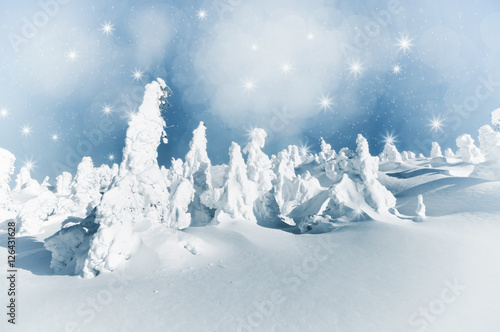 Christmas winter landscape with snowy trees and snowflakes © salajean