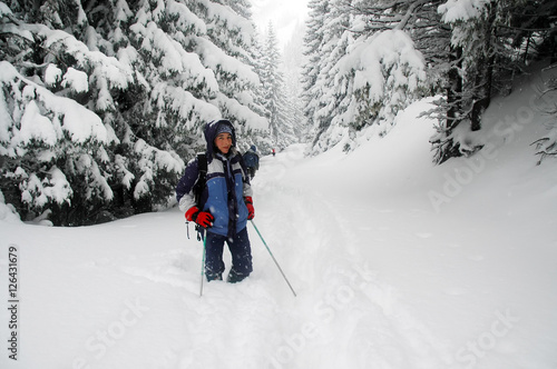 Hiking woman following a snowy path in the spruce forest