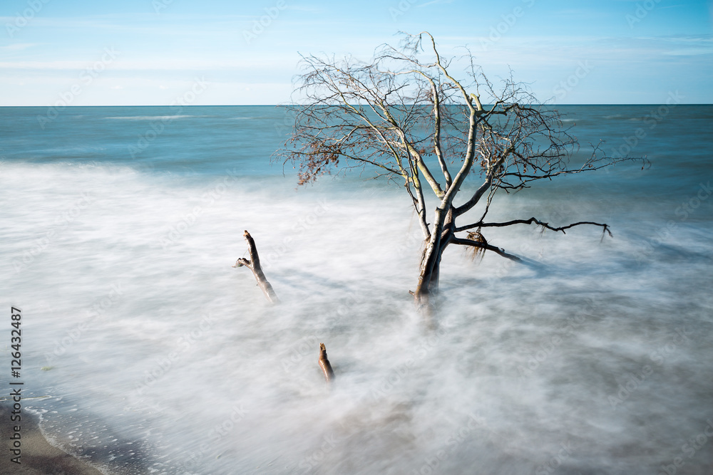 Windflüchter StockFoto Adobe Stock