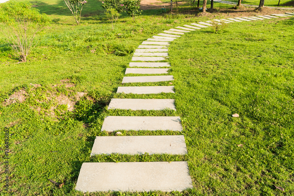 Stone walkway with green grass in the park