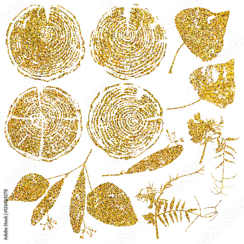 Vector wood splits and herbarium set