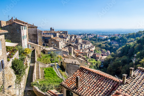 Cityscape of Caprarola, a town in central Italy.
