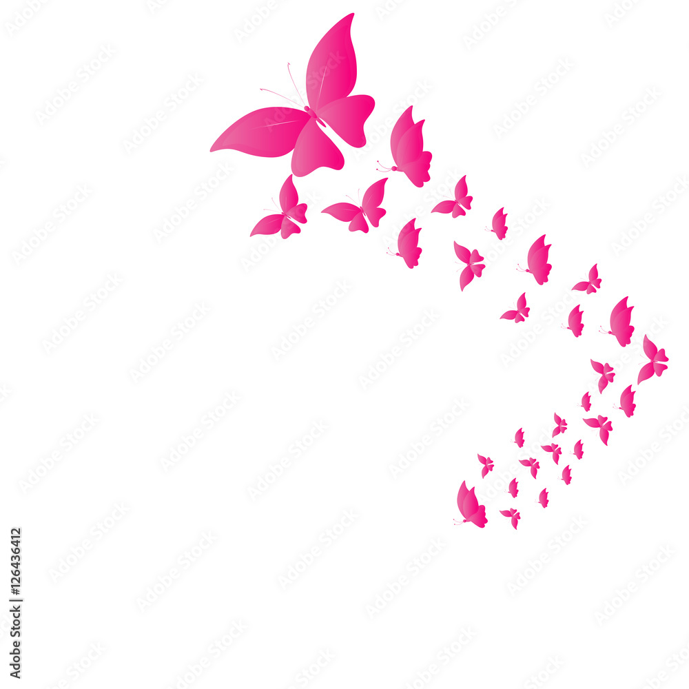 beautiful butterflies, isolated on a white beautiful butterflies, isolated on a white