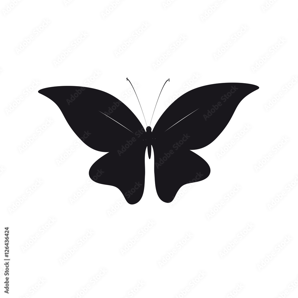 beautiful butterflies, isolated on a white beautiful butterflies, isolated on a white