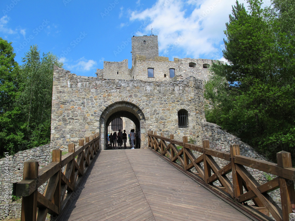 Obraz premium Strecno castle, Slovakia