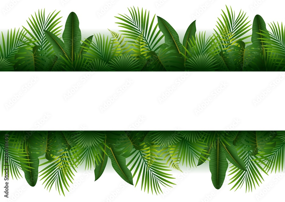 Fototapeta premium Pusty znak z tłem lasu tropikalnego