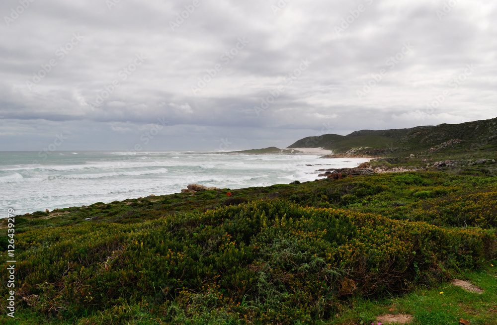 Sud Africa, 20/09/2009: la vegetazione e la spiaggia del Capo di Buona Speranza, il promontorio della Penisola del Capo raggiunto nel 1488 dall'esploratore portoghese Bartolomeo Dias