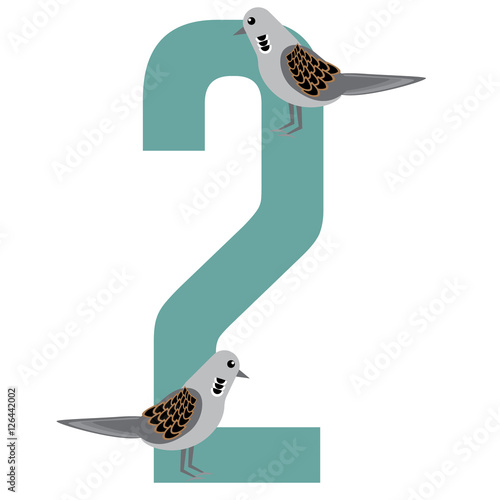 
Two turtle doves Christmas illustration.