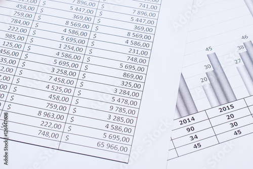 Wallpaper Mural Business concept. Financial and accounting documents closeup Torontodigital.ca