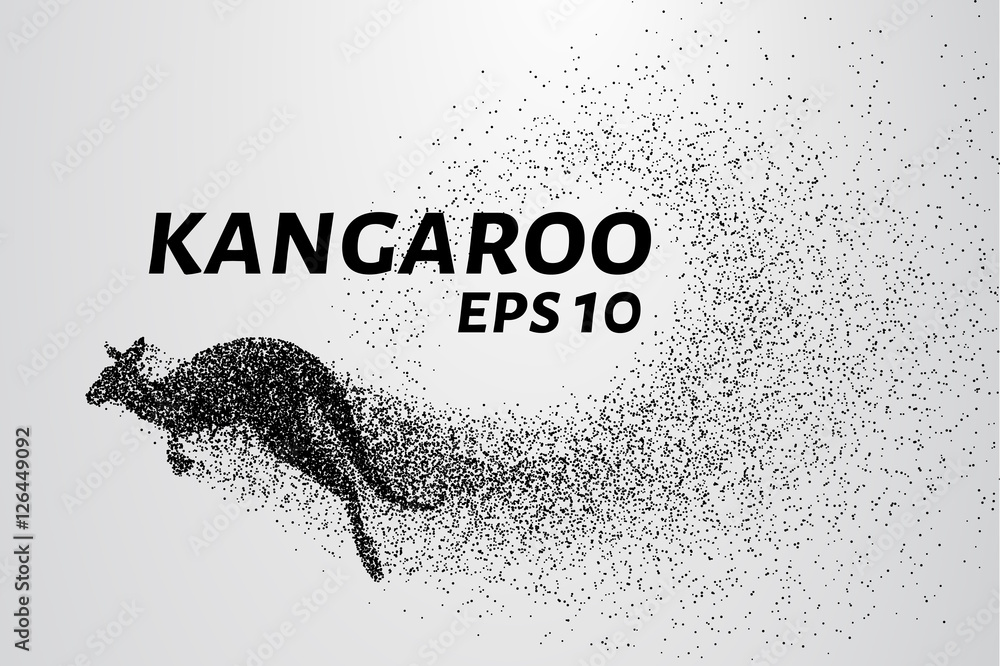 Kangaroo of particles. Kangaroo consists of small circles and dots. Vector illustration