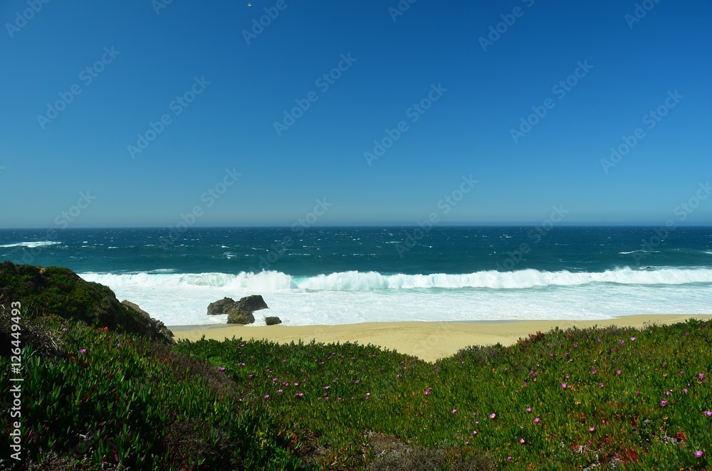 Big Sur, California