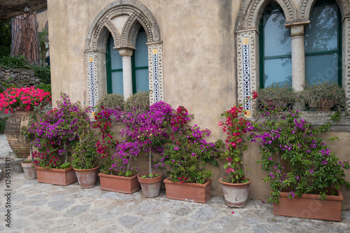 street flowers in large pots