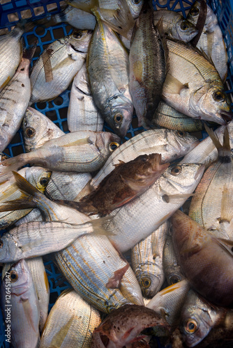 Fresh fish for sale in Kefalonia, Greece photo