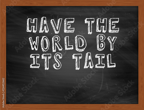 HAVE THE WORLD BY ITS TAIL handwritten text on black chalkboard