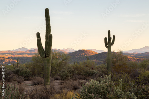 Arizona Desert Landscapes © jon manjeot