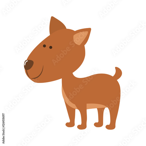 pet dog icon image vector illustration design 