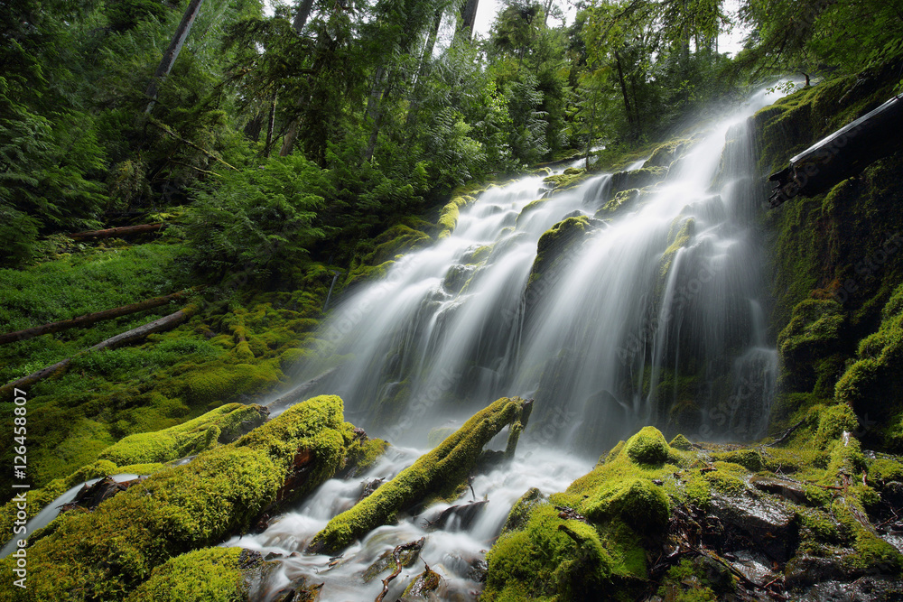 Fototapeta premium Proxy falls, Oregon