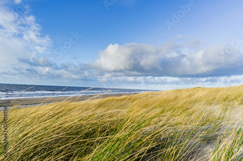 View on the beach from the sand dunes