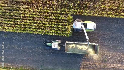 Maisernte - Maishäcksler und Schlepper mit Anhänger von oben, Luftaufnahme