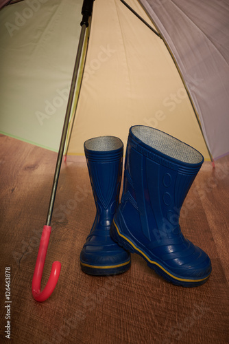 umbrella and rubber boots © volodyar