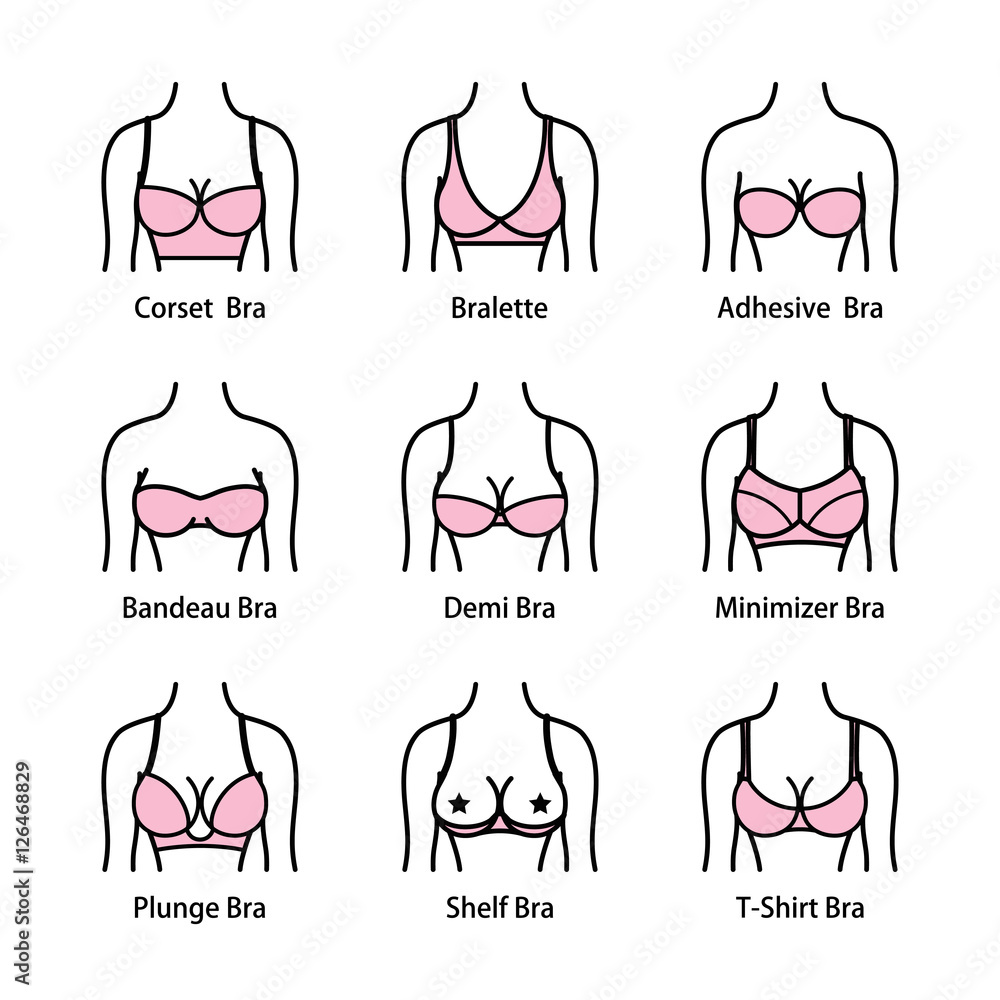 Icon tipes of bra. Kinds of bras Stock Vector