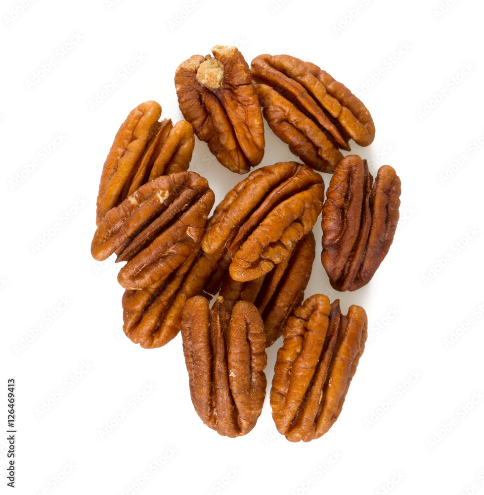 pecan nuts isolated on white pecan nuts isolated on white