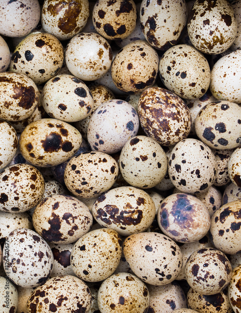 Fresh quail eggs background top view Fresh quail eggs background top view