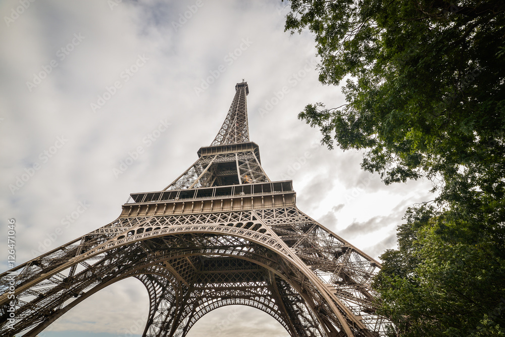 Tower Eiffel, Paris, seen from the park - obrazy, fototapety, plakaty 