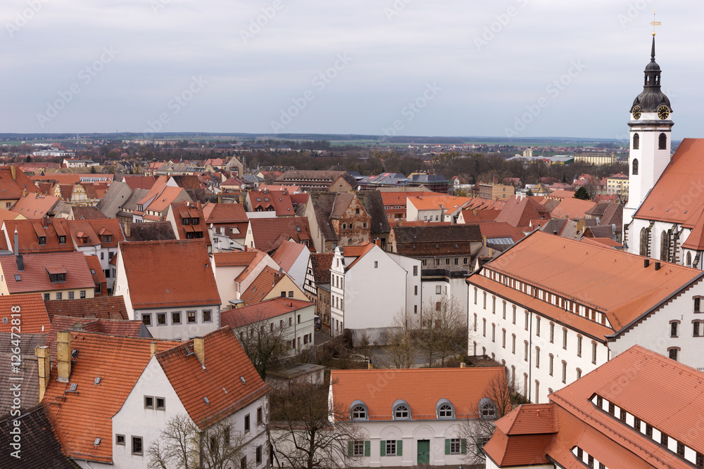 Obraz premium View over the old town of Torgau, Saxony, Germany
