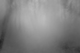 Abstract grey and black background picture from fog in night forest