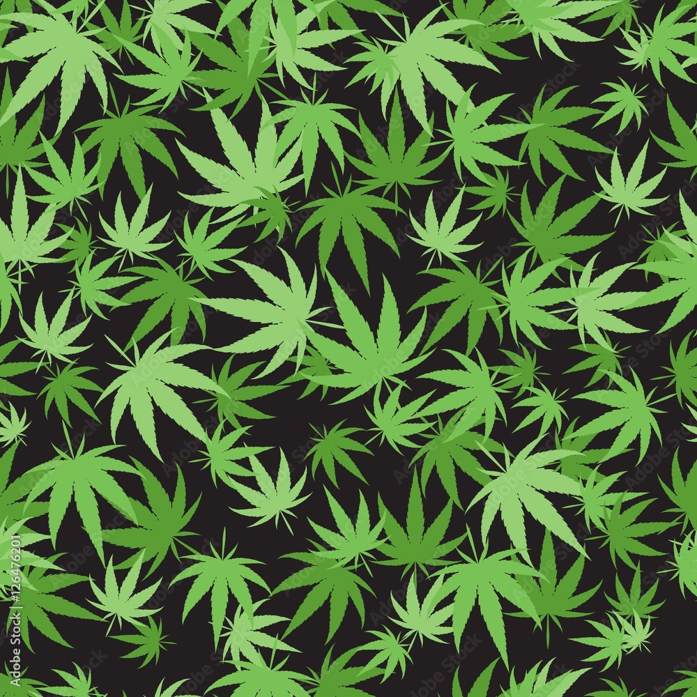 Marijuana background vector seamless patterns Marijuana background vector seamless patterns