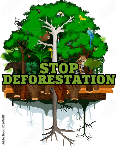 Deforestation jungle vector illustration. Vector Rainforest destroyed with animals.