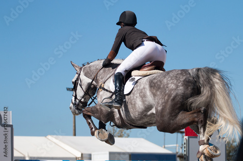 Photography horse jumping competition