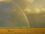Double rainbow over a wheat field