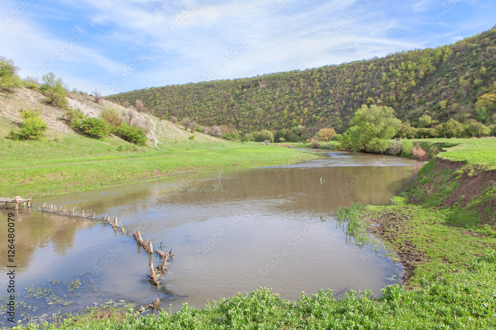 spring landscape with river spring landscape with river